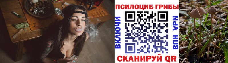 Купить  Гаврилов Посад  Псилоцибиновые грибы мицелий 